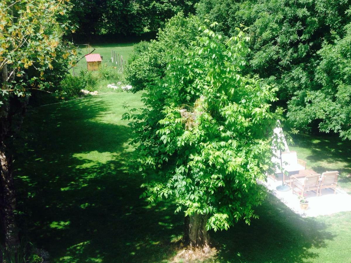 Le Fagnard Bed & Breakfast Chalais  Bagian luar foto