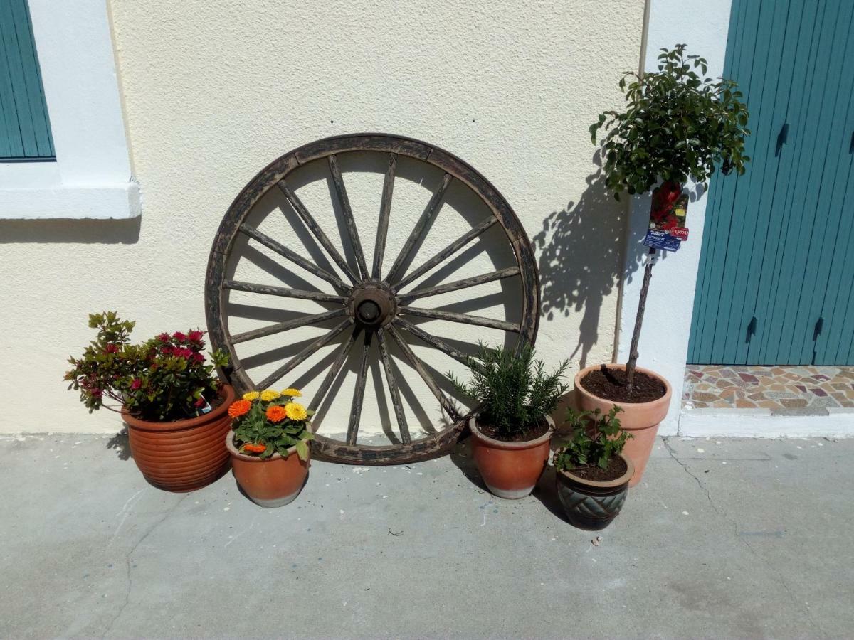 Le Fagnard Bed & Breakfast Chalais  Bagian luar foto