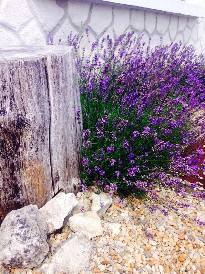 Le Fagnard Bed & Breakfast Chalais  Bagian luar foto